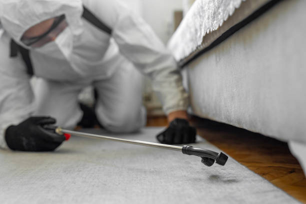 Professional Bed Bug Control technician working in Richland County County, WI